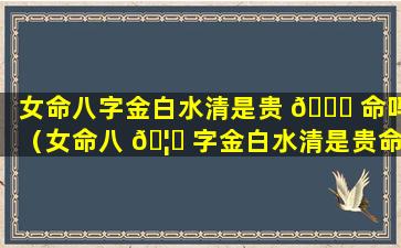 女命八字金白水清是贵 🐟 命吗（女命八 🦆 字金白水清是贵命吗还是贵命）
